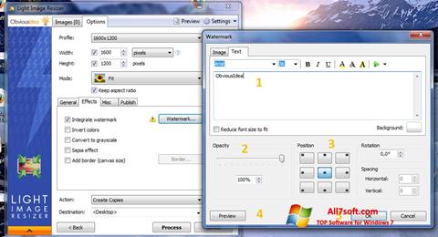 Captură de ecran Light Image Resizer pentru Windows 7