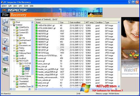 Captură de ecran PC Inspector File Recovery pentru Windows 7