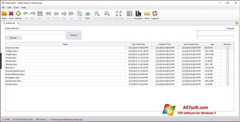 Captură de ecran FileViewPro pentru Windows 7
