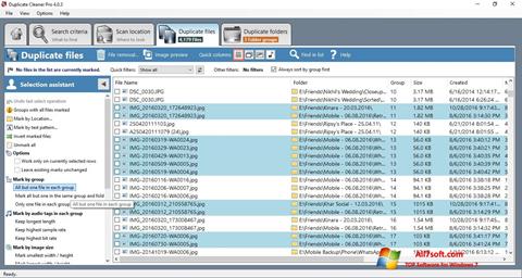 Captură de ecran Duplicate Cleaner pentru Windows 7