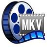 MKV Player pentru Windows 7