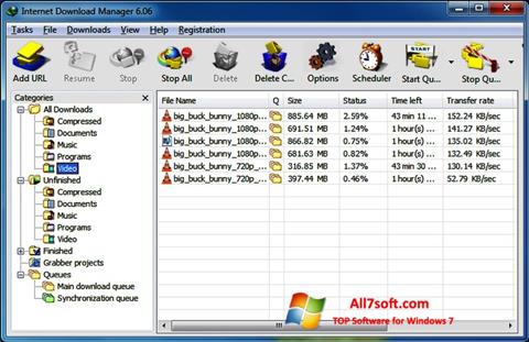 Captură de ecran Internet Download Manager pentru Windows 7