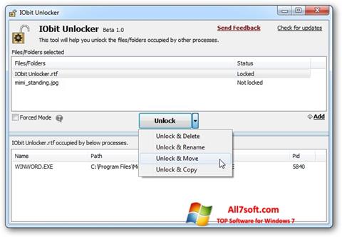 Captură de ecran IObit Unlocker pentru Windows 7