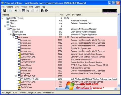 Captură de ecran Process Explorer pentru Windows 7