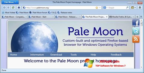 Captură de ecran Pale Moon pentru Windows 7